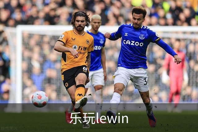 关于乐玩lewin